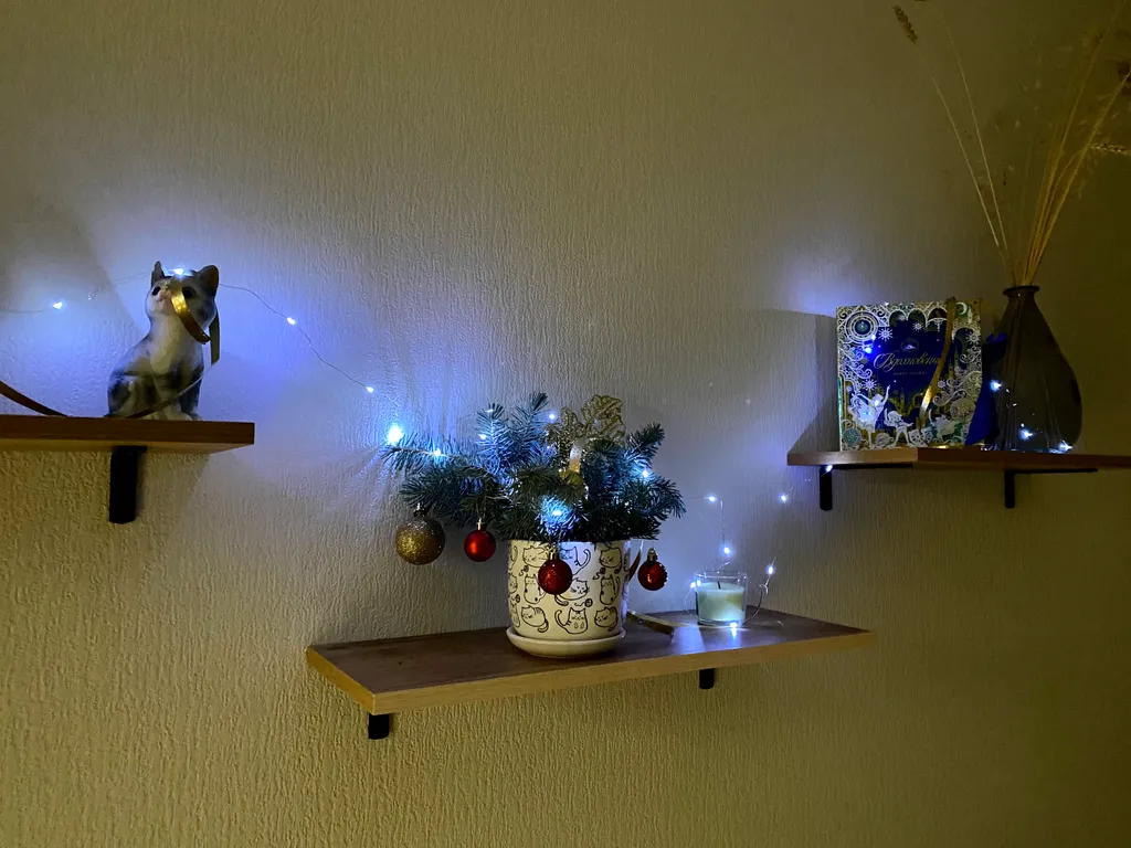 Семейная квартира рядом шоссе Северный объезд