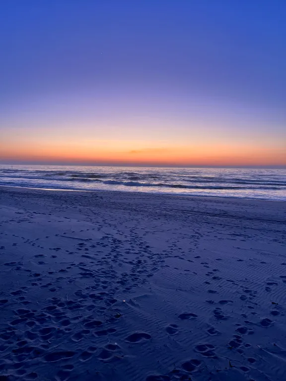 Уютный домик в сосновом бору на берегу моря