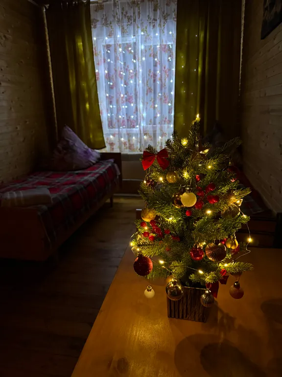 Квартира Жилая комната с двумя односпальными кроватями — Апшеронск