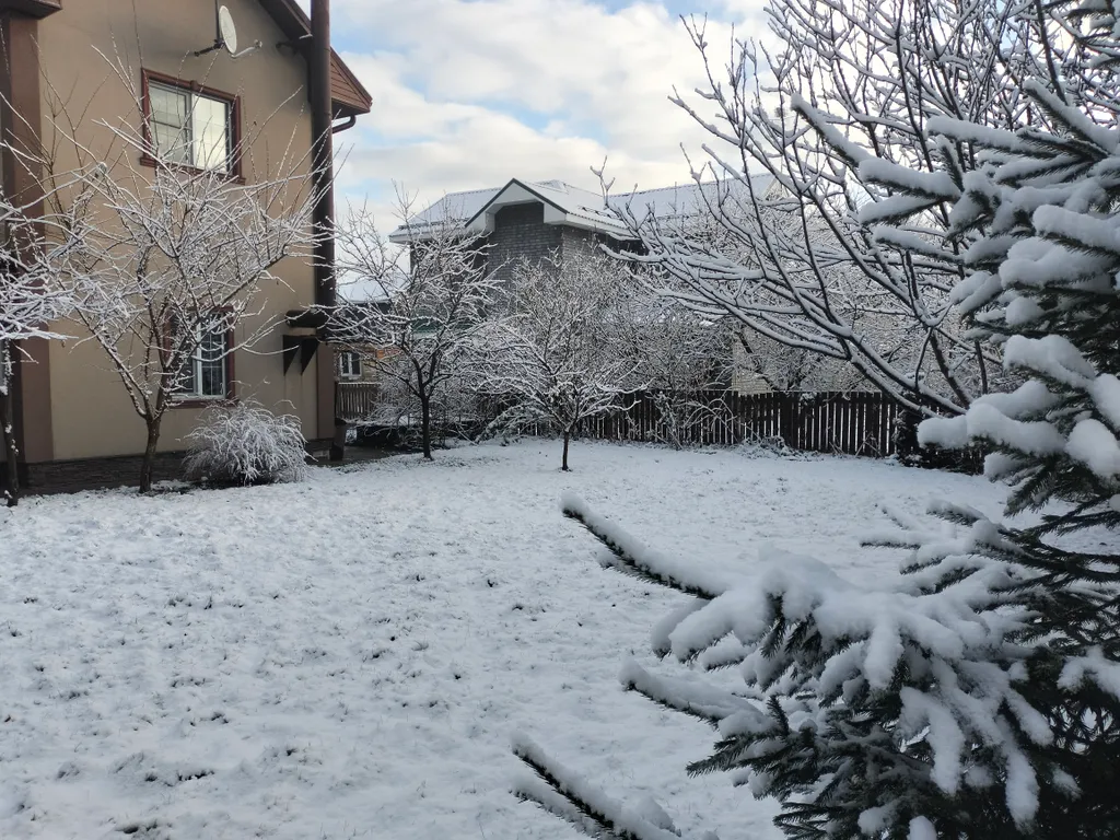 Уютный коттедж с дровяным камином, в окружении лесного массива