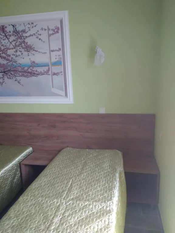 Квартира Квартира Четырехместные номера Зима, Весна, Лето, Осень — Витино