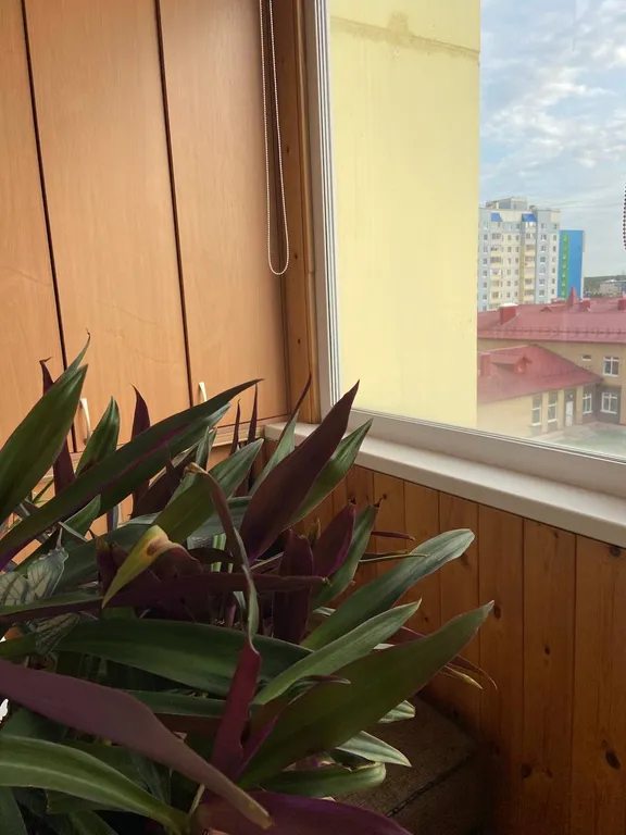 Квартира для вашего идеального отдыха