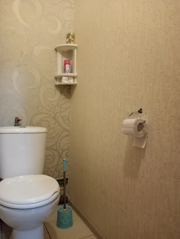 Квартира Квартира Уютный уголок. — Светлогорск