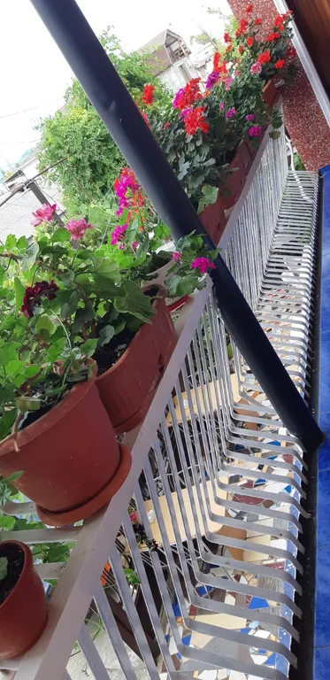 Квартира Комната — Сухум