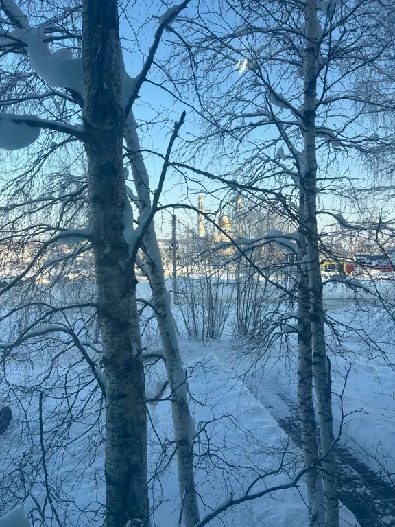 Квартира у тц рандеву