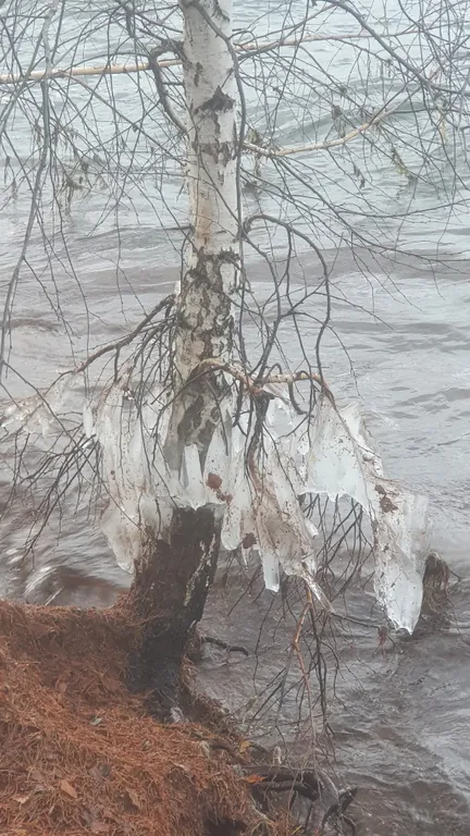 301 Студия на двоих