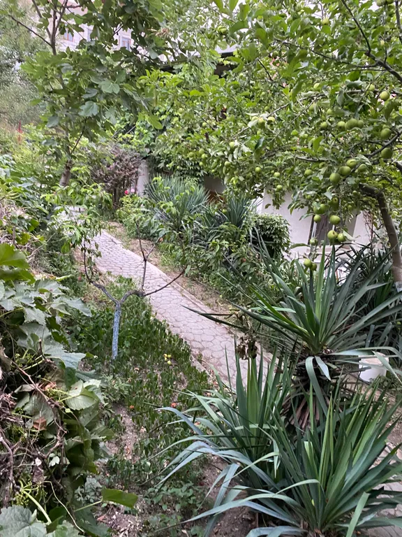 Уютная видовая студия