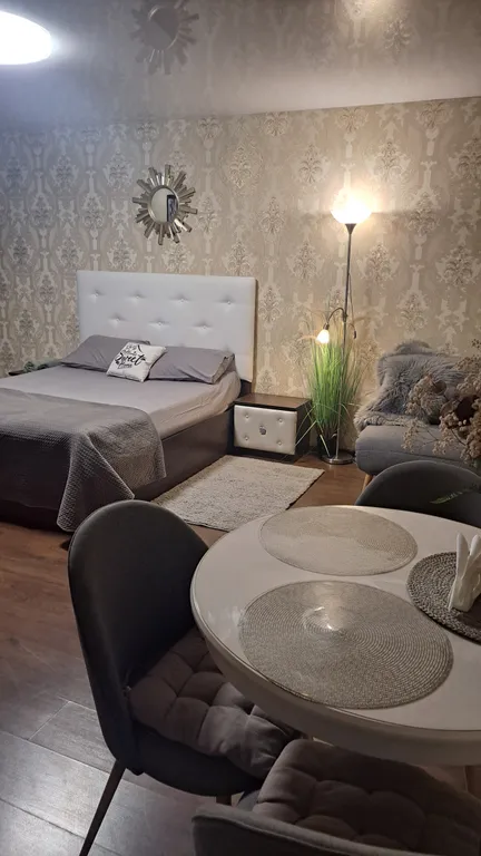 Студия в центре города, парк, ледовая арена