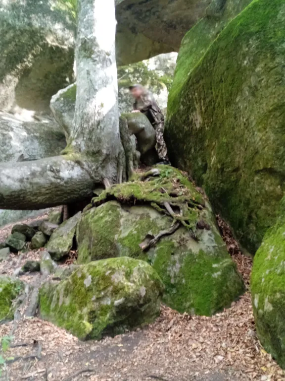 Коттедж Гостевой домик Регион 47 — Псебай