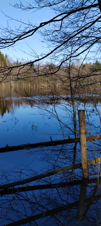 Домик у речки - мечта интроверта