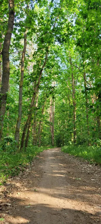 Квартира возле леса и залива