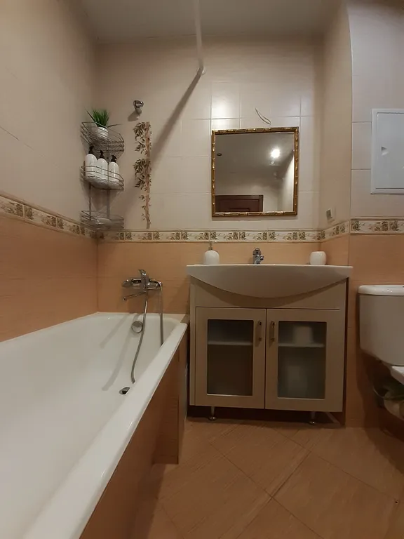 Евродвушка в 10 минутах от аэропорта Внуково