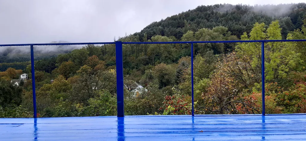 Джилысу transit дача в сосновом бору