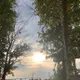 Яна