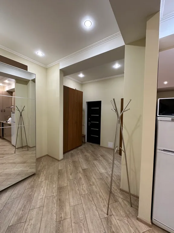 Евро-двухкомнатный апартамент Лаура 8