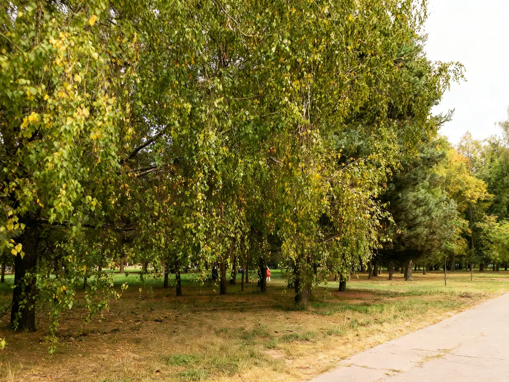 Стильная светлая квартира у Комаровского рынка