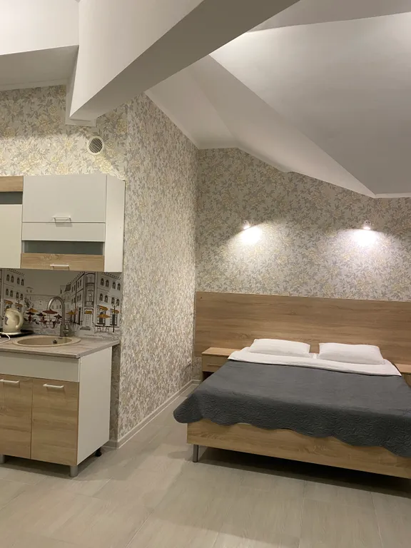 Студия на 4-х с кухней, балконом