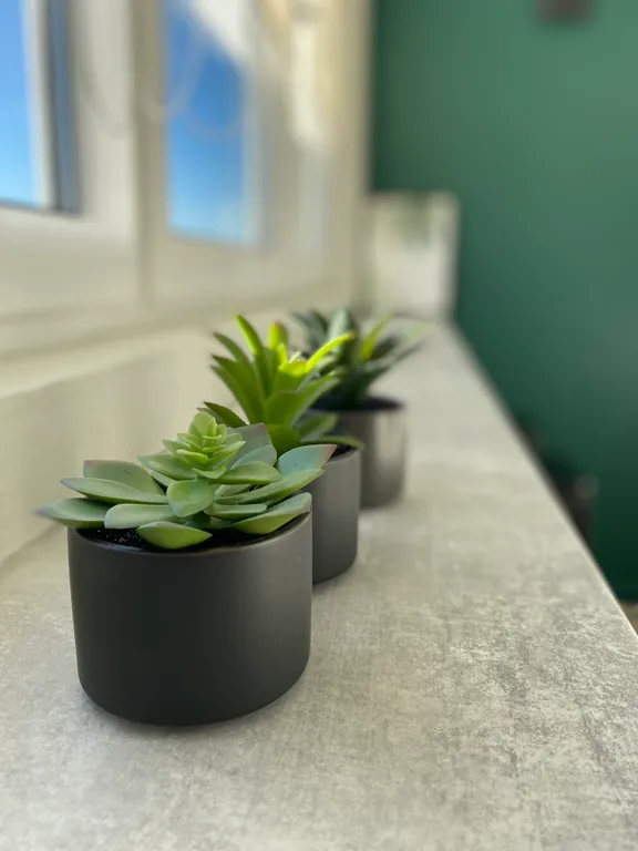 Уютная квартира на озере