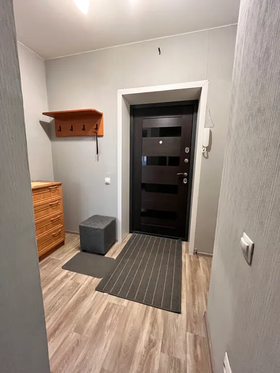 Большая однушка в новостройке