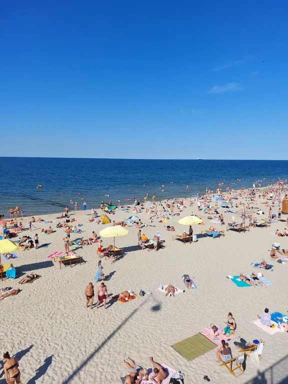 Квартира 1-комнатная Квартира — Пионерский