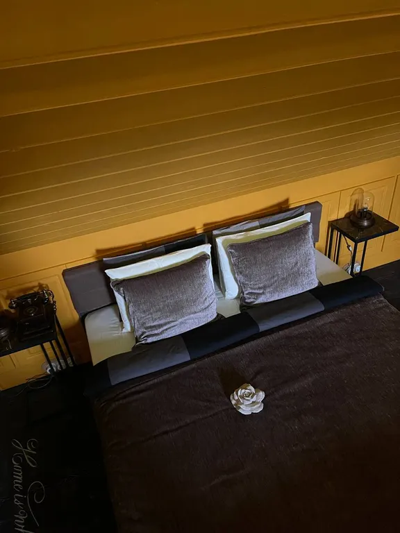 Scandi Арт-дом в сосновом бору