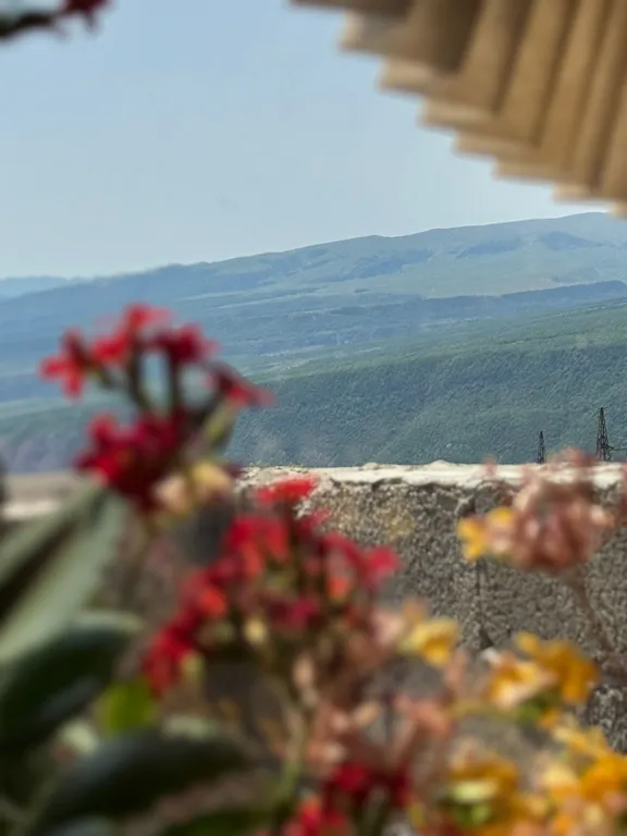 Дом с видом на горы