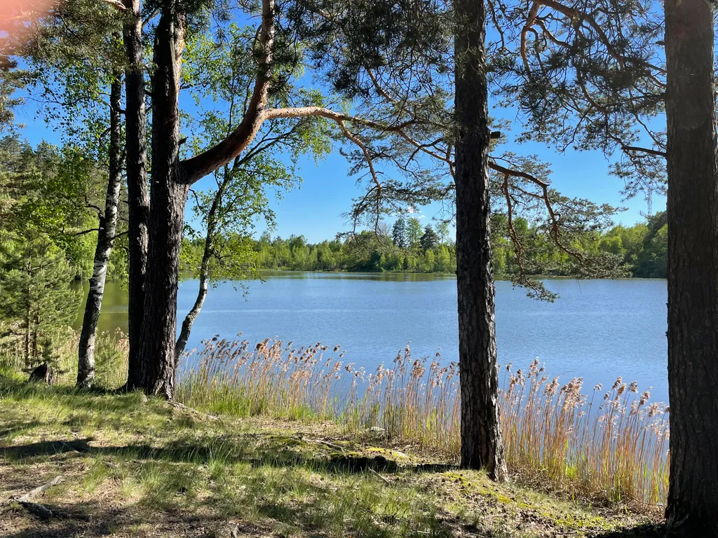 Соловьевка Villa