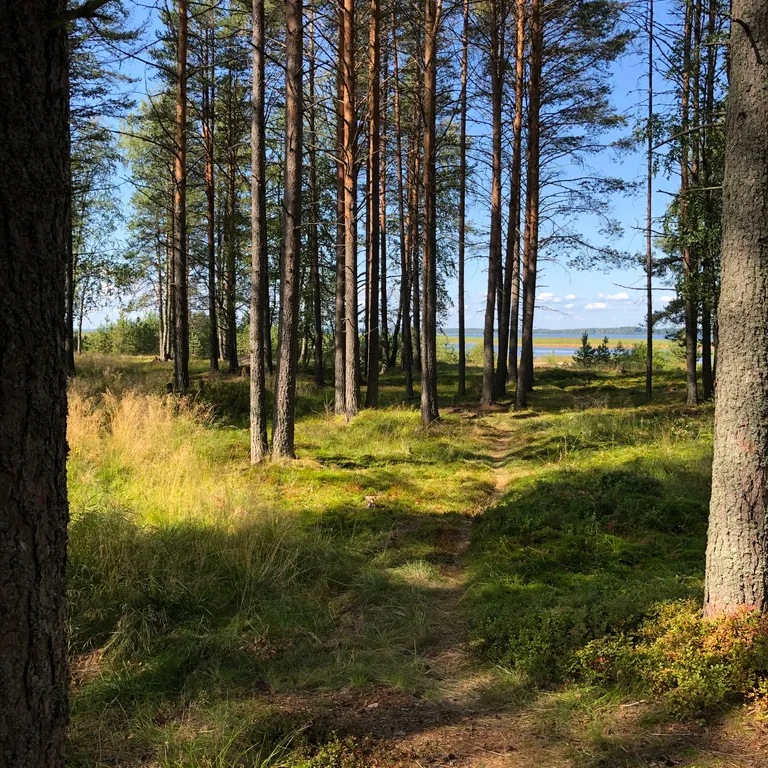 Апартаменты для семьи на берегу озера Сямозеро Карелия