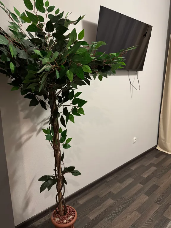 Уютная студия в 5 минутах от метро