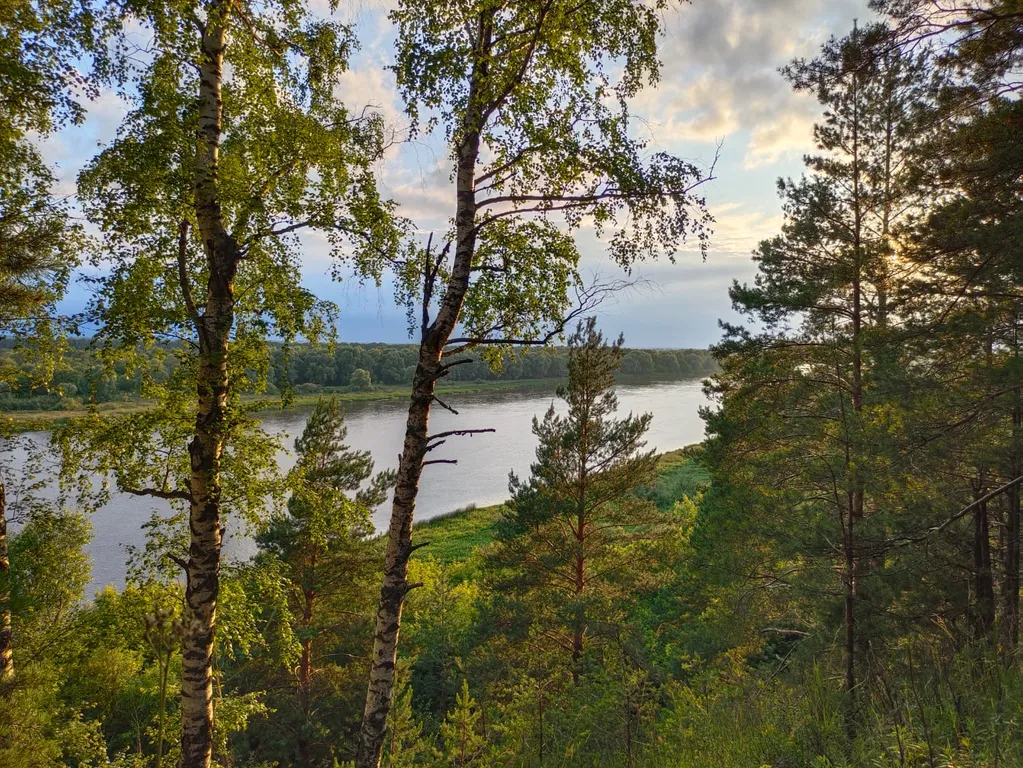 Уютный домик для отдыха