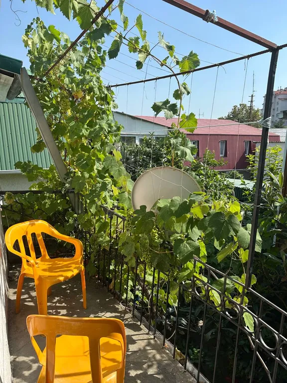 Квартира Квартира Семейный номер эконом — Геленджик