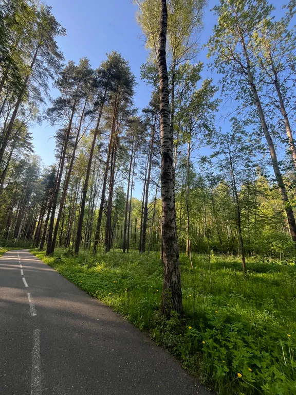 Квартира для прекрасного семейного отдыха