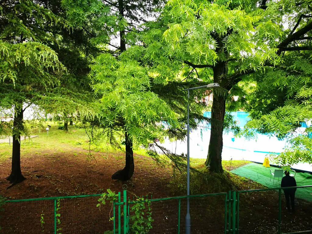 Апартаменты в комплексе Меридиан