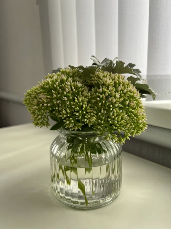 Отдельное жильё в центре туристической части города