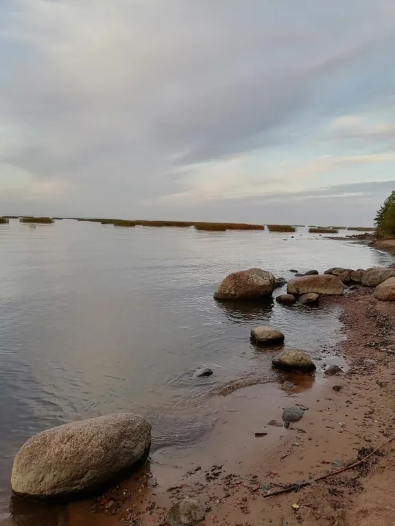 Квартира Уютная комната в доме Счастья — Ломоносов