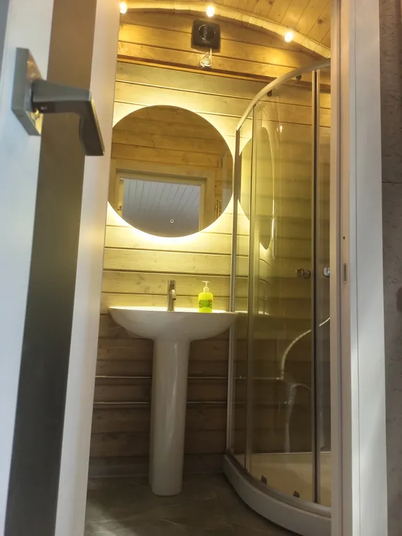 Новые домики среди векового леса на берегу Ладоги