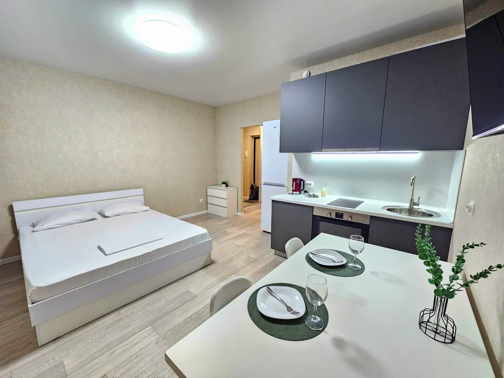 Просторная студия 34-02