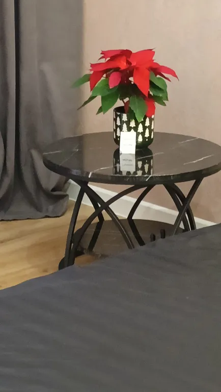 Уютная студия в центре города