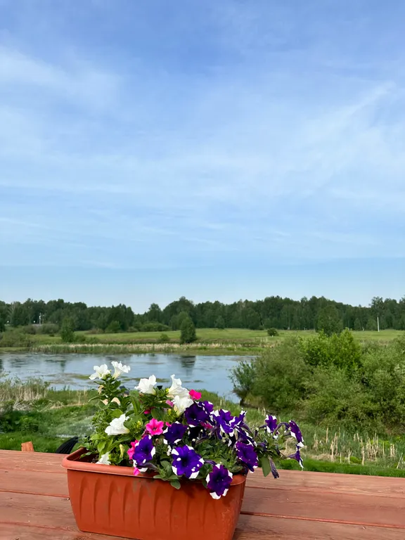 Треугольный дом A-фрейм с панорамными окнами Космос