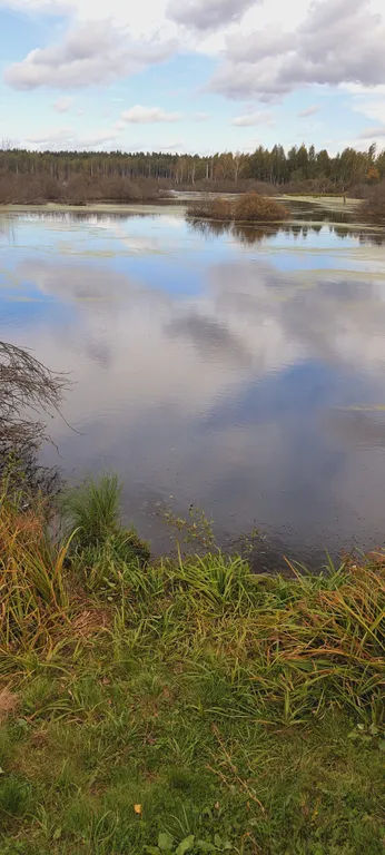 Коттедж Дом (A) с сауной и видом на лес — Пашуково