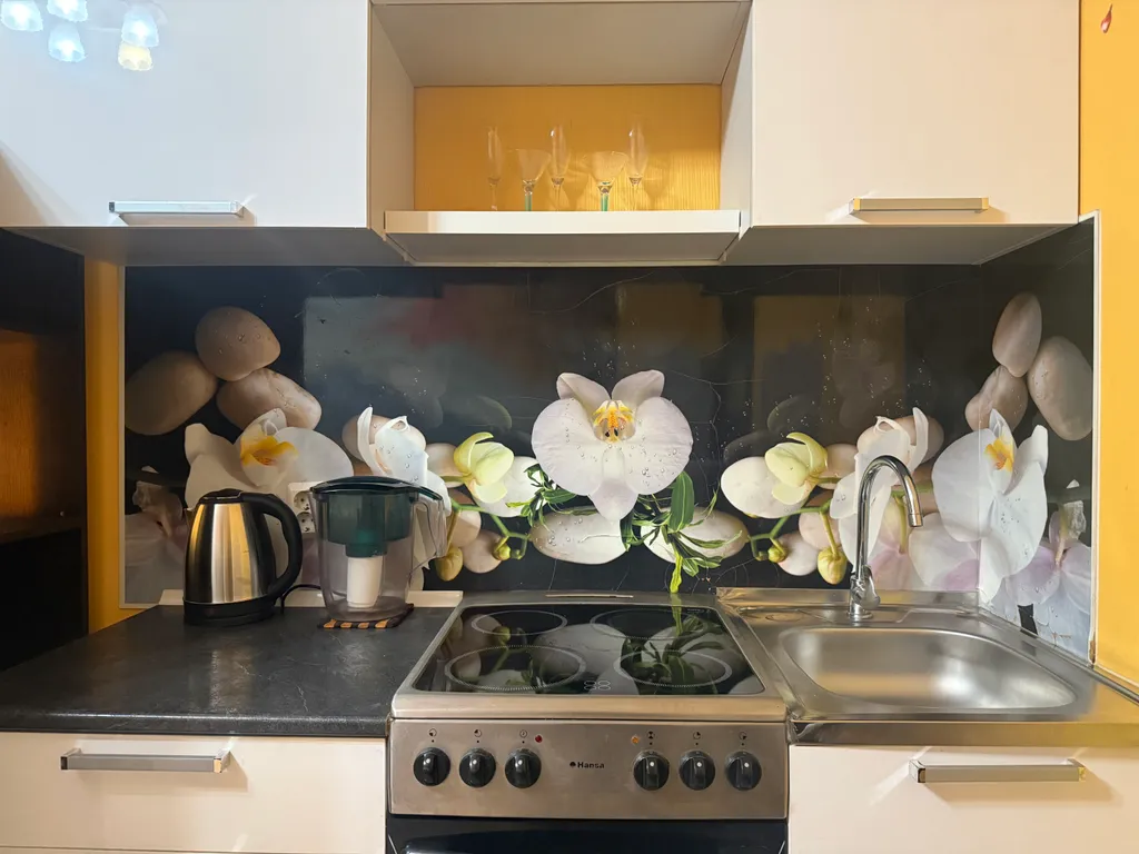 Студия у Мега-парка