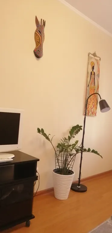 Теплая африканская сказка для вашего отдыха. Солнечная квартира.