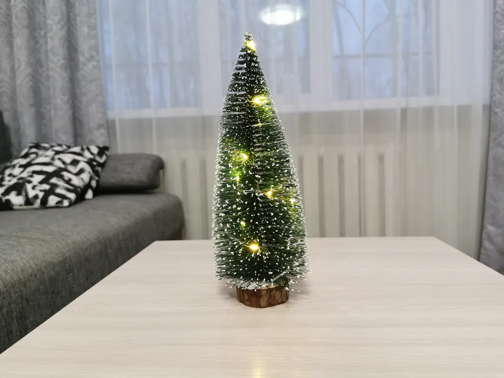 Стильная квартира в центре в Ботаническом саду