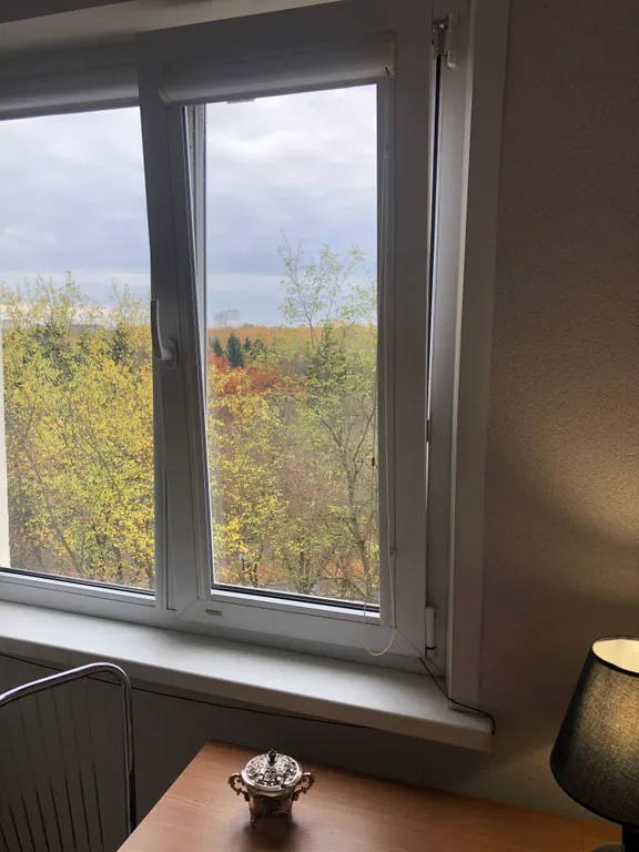 Уютная квартира с видом на парк