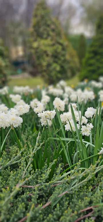 Уютная квартира с удобным месторасположением и отличной инфраструктурой