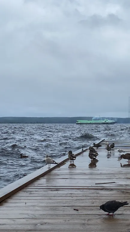 Квартира в 5 минутах от жд вокзала