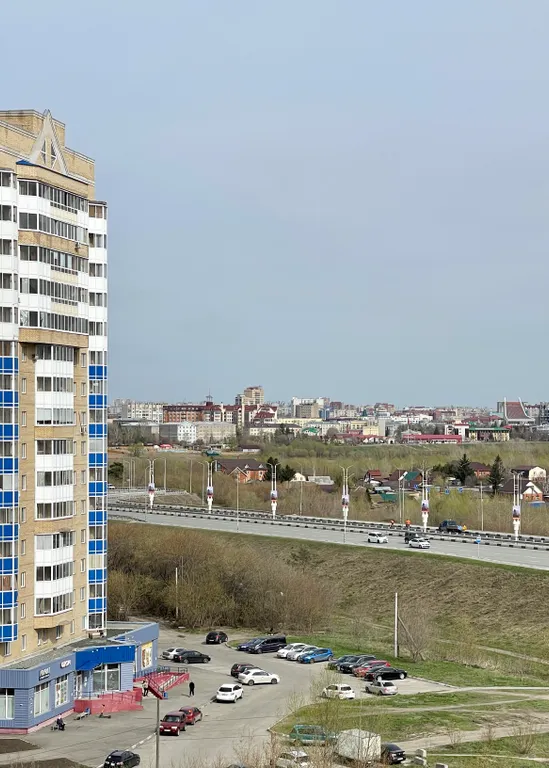 Квартира Уютная студия с видом на метромост — Омск