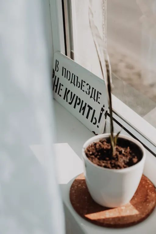 Сканди-квартира в расширенном центре