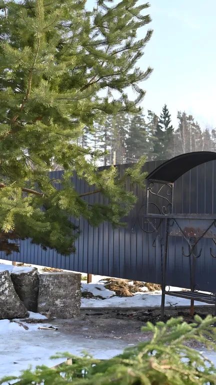 Новый дом в лесу