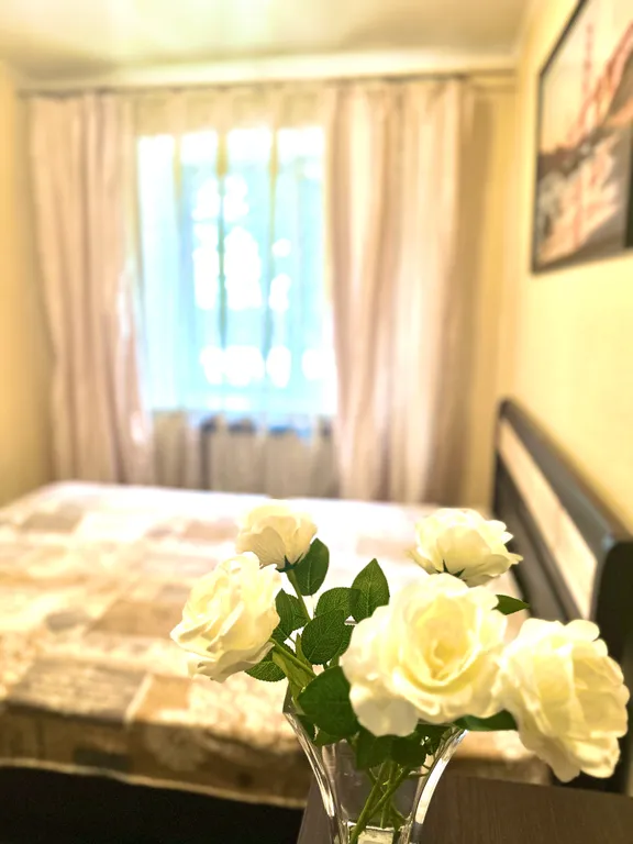 Уютная 2-я квартира с хорошим ремонтом